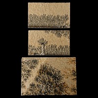 Natural History - Mocha Stone (Dendritic Limestone) Tile Group [3]