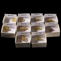 Natural History - Boxed Apatite Crystal Collection [10]