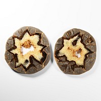 Natural History - Large Size Cut Septarian Agate Crystal 'Alien Egg' Geode Slice Pair