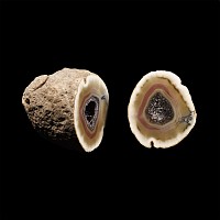Natural History - Cut and Polished Agate Crystal Geode, Natural Box & Lid
