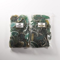 Natural History - Two Bags of Cut and Polished Agate Geode Slices [100]