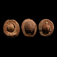 Natural History - Kalahari Desert Wind Stone Group [3]