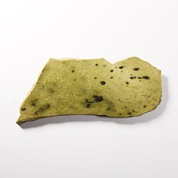 Natural History - Large Cut & Polished 'Leopard' Nephrite Jade Slab