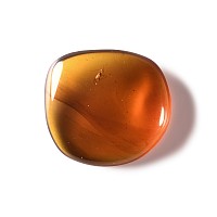 Natural History - Amber with Insect Inclusion
