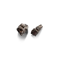 Natural History - Campo Del Cielo Iron Meteorite Pair