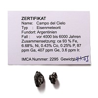 Natural History - Campo Del Cielo Iron Meteorite Pair