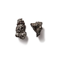 Natural History - Campo Del Cielo Iron Meteorite Pair