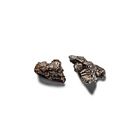 Natural History - Campo Del Cielo Iron Meteorite Pair