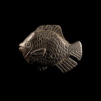 Western Asiatic Black Stone Fish Amulet