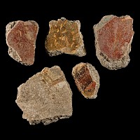 Roman Fresco Painted Wall Plaster Collection