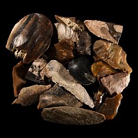 Stone Age Flint Scraper and Other Implement Group