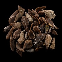 Stone Age Flint Leaf-Shaped Arrowhead Group