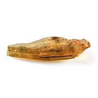 Natural History - Polished Copal with Insects