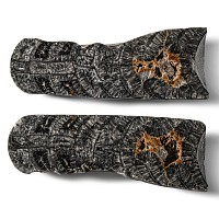 Natural History - Large Cut and Polished Fossil Orthoceras