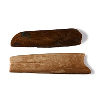 Natural History - Mammoth Tusk Section Group