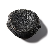 Natural History - Fossil Icthyosaur 'Marine Dinosaur' Vertebra