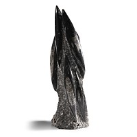 Natural History - Fossil Orthoceras Tower