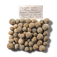 Civil War Lead Musket Ball Group