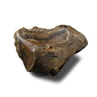 Stone Age Twydall Flint Hand Tool