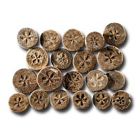 Roman Limestone Gaming Counter Group