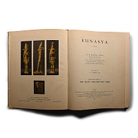 Archaeological Books - Flinders Petrie, A. Ehnasya (Egypt)