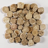 Egyptian Limestone Floral Inlay Group