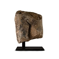 Roman Marble Lower Torso