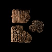 Mesopotamian Cuneiform Tablet Fragment Group