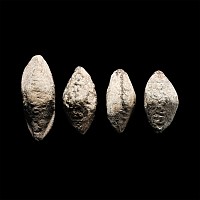 Roman Inscribed Lead Slingshot Group