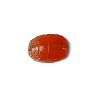 Egyptian Carnelian Scarab