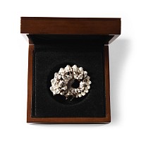 Natural History - British Fossil Ammonite