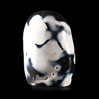 Natural History - Polished 'Orca' Agate Specimen