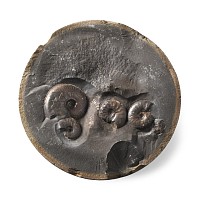 Natural History - Whitby Dac Fossil Ammonite Cluster