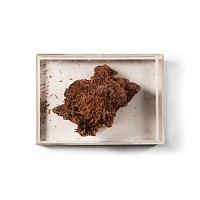 Natural History - Historic Crocoite Crystal Formation
