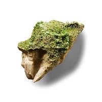 Natural History - Historic Green Mimetite Crystal Formation
