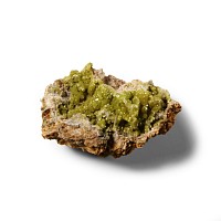 Natural History - Historic Green Pyromorphite Crystal Specimen