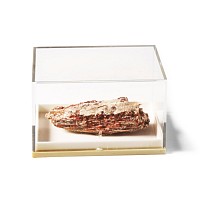 Natural History - Historic Italian Cinnabar Mineral Specimen