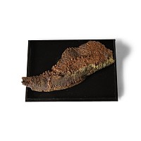 Natural History - Historic Copper Plated on Iron Rail Mineral Specimen
