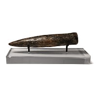 Cypriot Bronze Age Cone