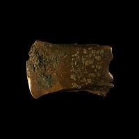 Bronze Age Looped and Socketted Axehead Section