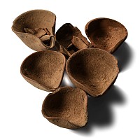 Canaanite Terracotta Lamp Fragment Group