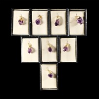 Natural History - Cased Amethyst Crystal Pendant Group [8]
