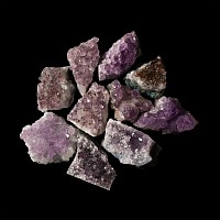 Natural History - Amethyst Crystal Geode Section Group [10]