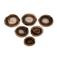 Natural History - Cut and Polished Agate Crystal Geode Coaster Group [6]