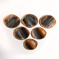 Natural History - Cut and Polished Agate Crystal Geode Coaster Group [6]
