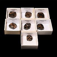 Natural History - Boxed Cut and Polished Chiastolite Mineral Specimen Group [7]