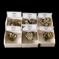 Natural History - Boxed Pyrite Mineral Specimen Group [6]