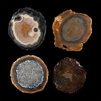 Natural History - Cut and Polished Agate Crystal Geode End Group [4]