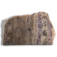 Natural History - Unpolished Cut Amethyst Crystal Geode Slice