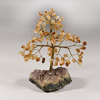 Natural History - Citrine Gem Tree on Amethyst Crystal Geode Section